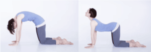 posture chat yoga endometriose